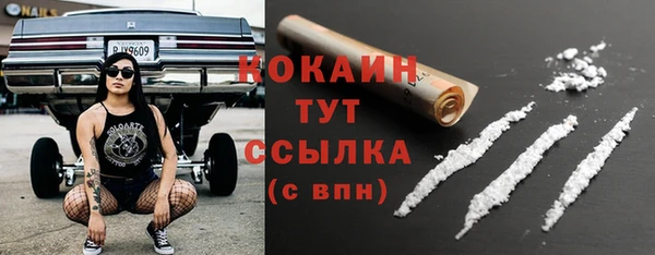 PSILOCYBIN Снежногорск
