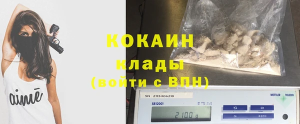 прущий лед Вяземский