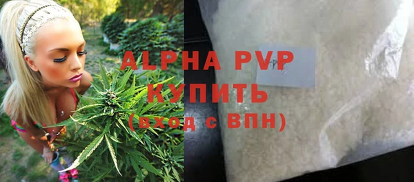 PSILOCYBIN Снежногорск