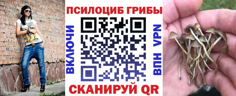 Галлюциногенные грибы ЛСД  Карабаново 